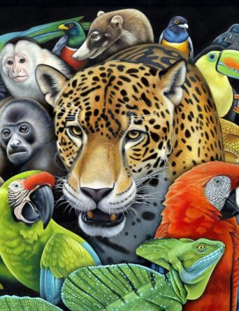 Circle of Life - Costa Rican Art by Nathan Miller