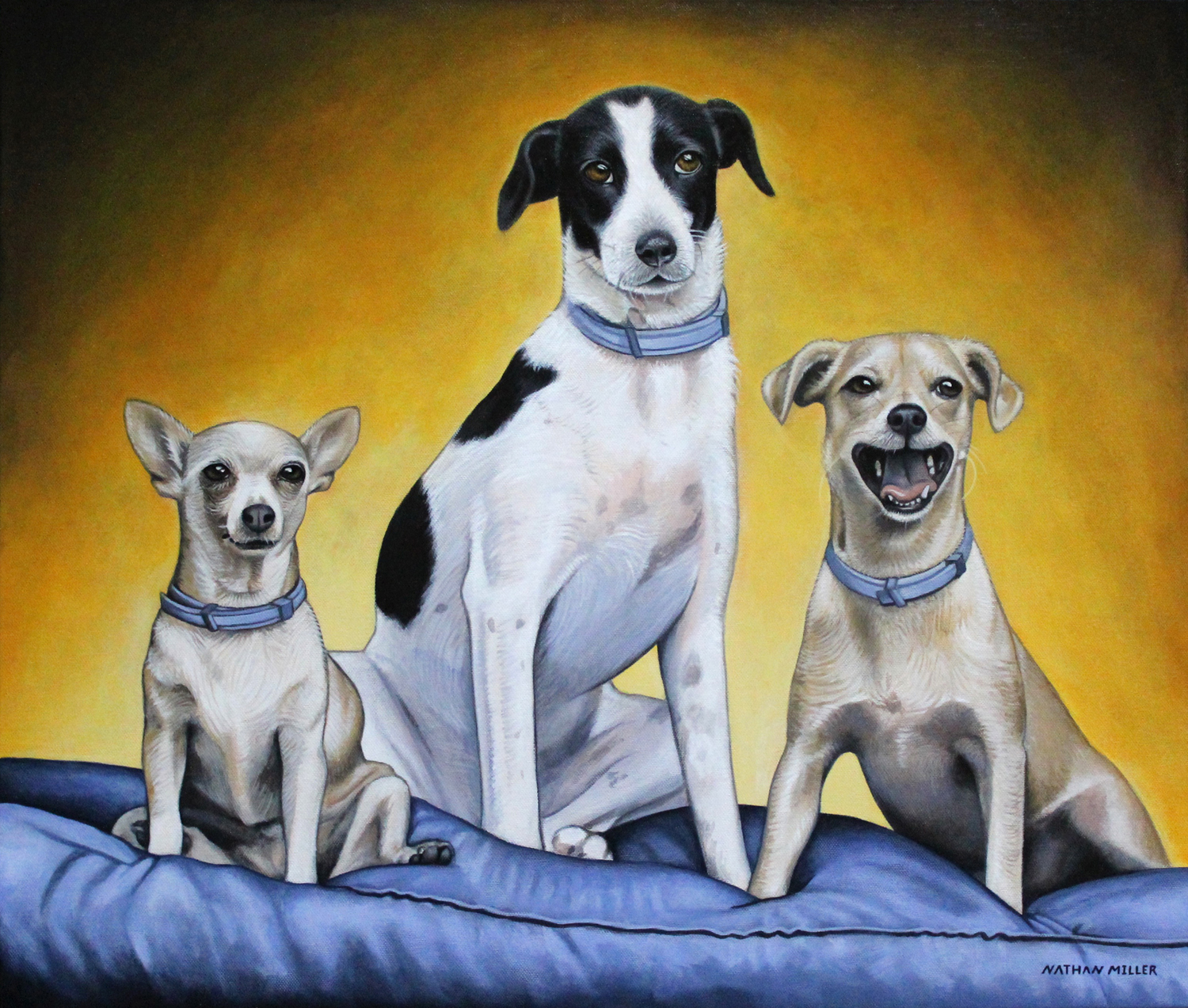 Portrait Of Three Dogs A Dog Portrait By Artist Nathan Miller