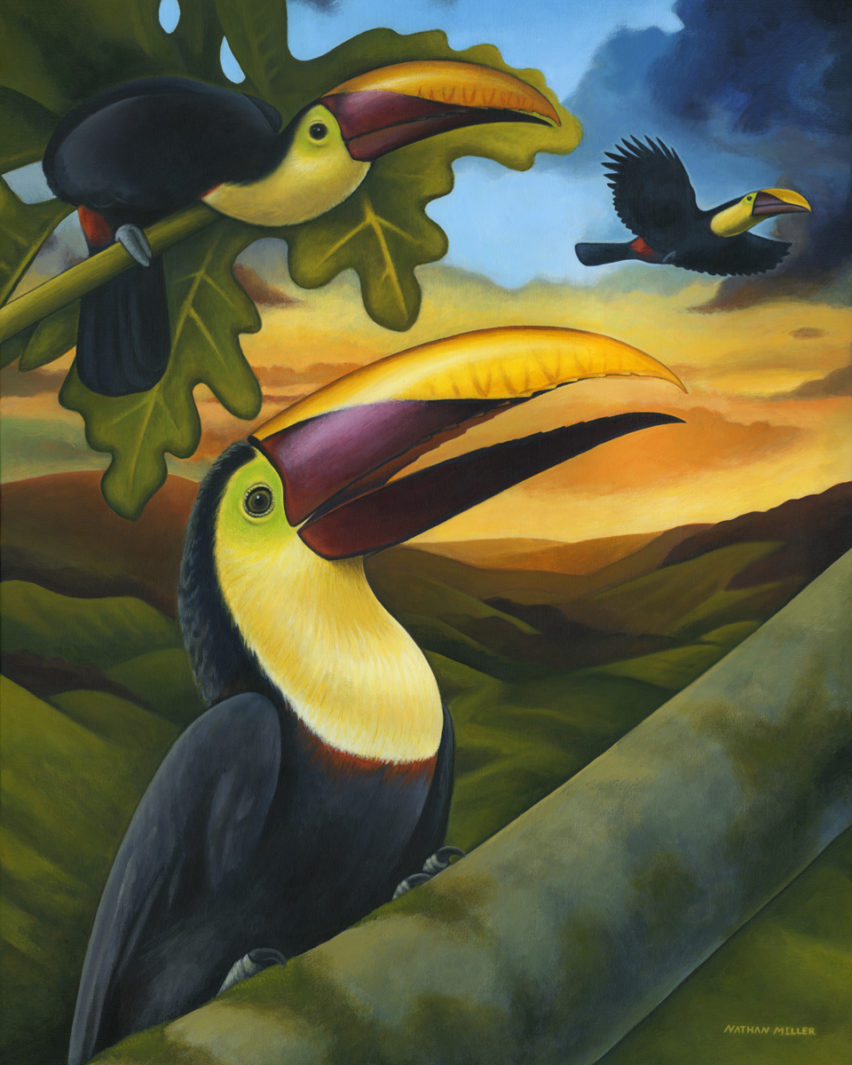 Treetop Toucans Costa Rican art by artist, Nathan Miller