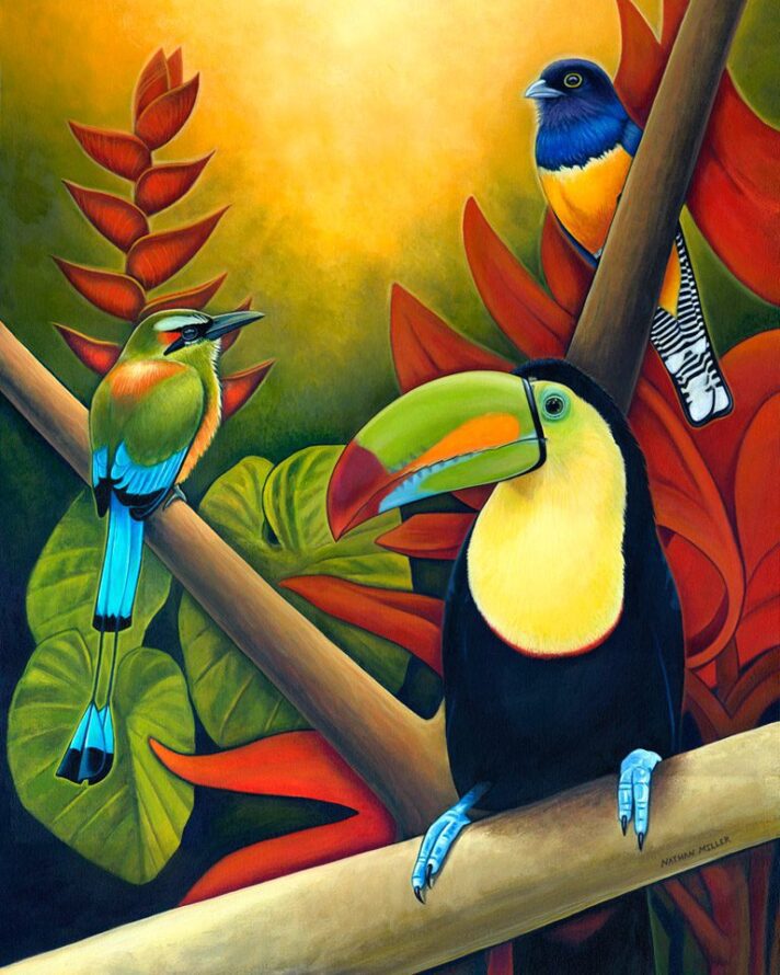 Tropical Birds - Costa Rican Art by Nathan Miller