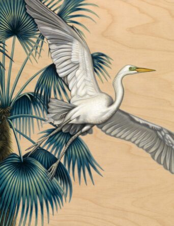 Egret in Flight - Art by Nathan Miller