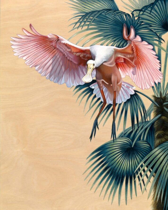 Spoonbill in Flight - Art by Nathan Miller