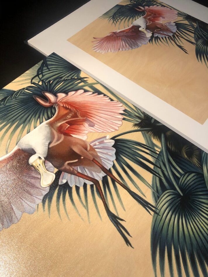 Spoonbill Print Comparison