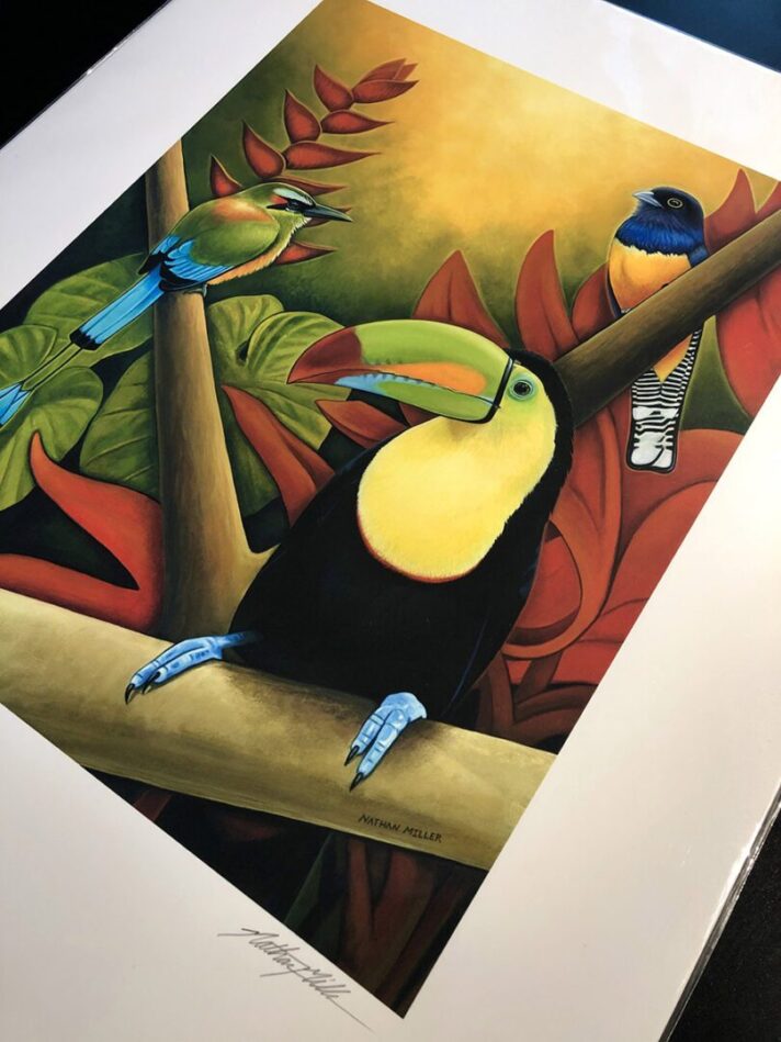 Tropical Birds Print - Art by Nathan Miller