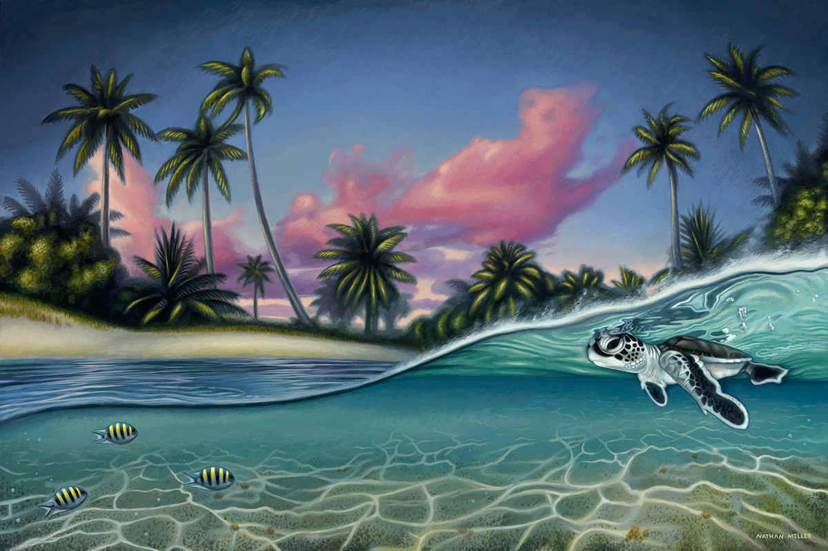 Beachscape - Baby Green Sea Turtle Art by Nathan Miller